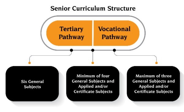 infographic showing senior curriculum pathways with tertiary and vocational options, outlining subject choices and flexible study pathways for senior students